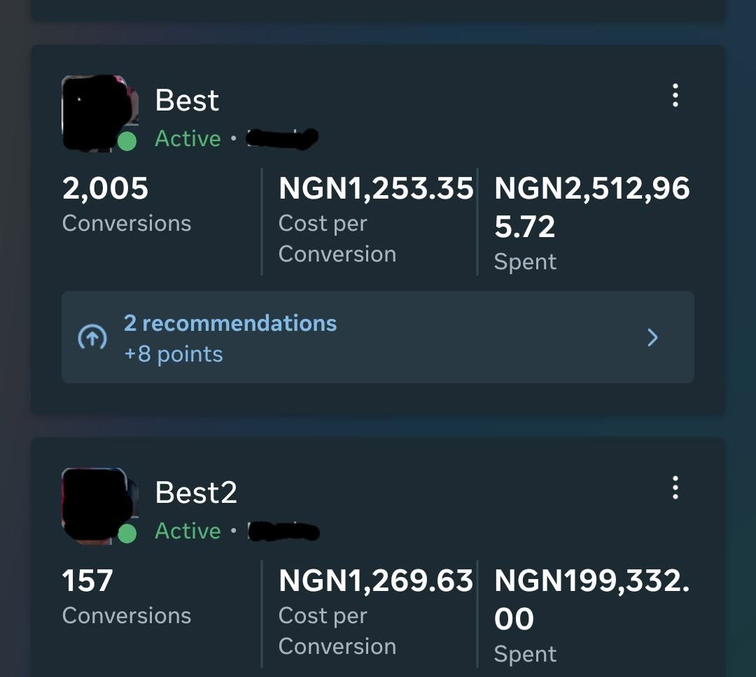 Verified HeptaLab Meta Ads campaign result
