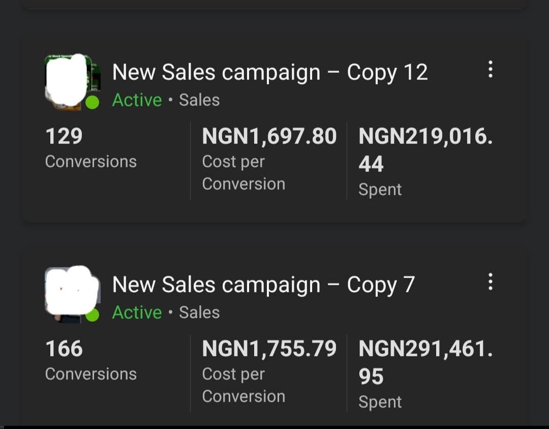 Meta Ads sales campaign performance