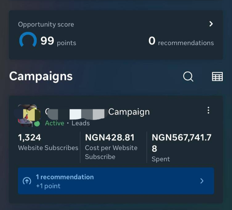 Meta Ads campaign performance screenshot